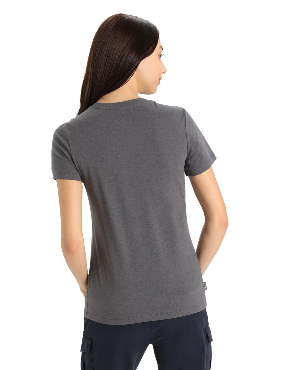 T Shirts Icebreaker Merino Central Classiche Corta Sleeve Move to Natural Mountain Femme Argent Grise | FR 1561GSOL